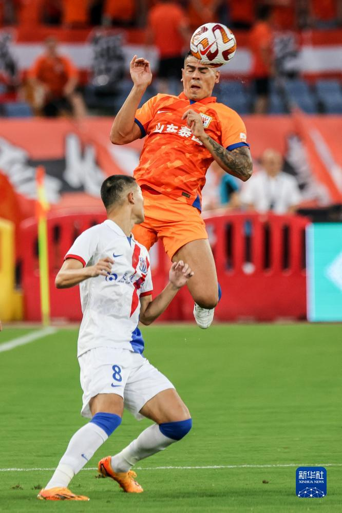 山东鲁能对上海地产