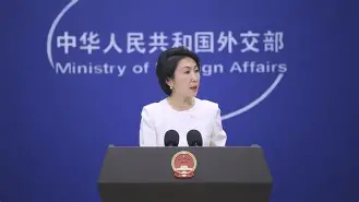 九游官网官方入口-巴西对战荷兰