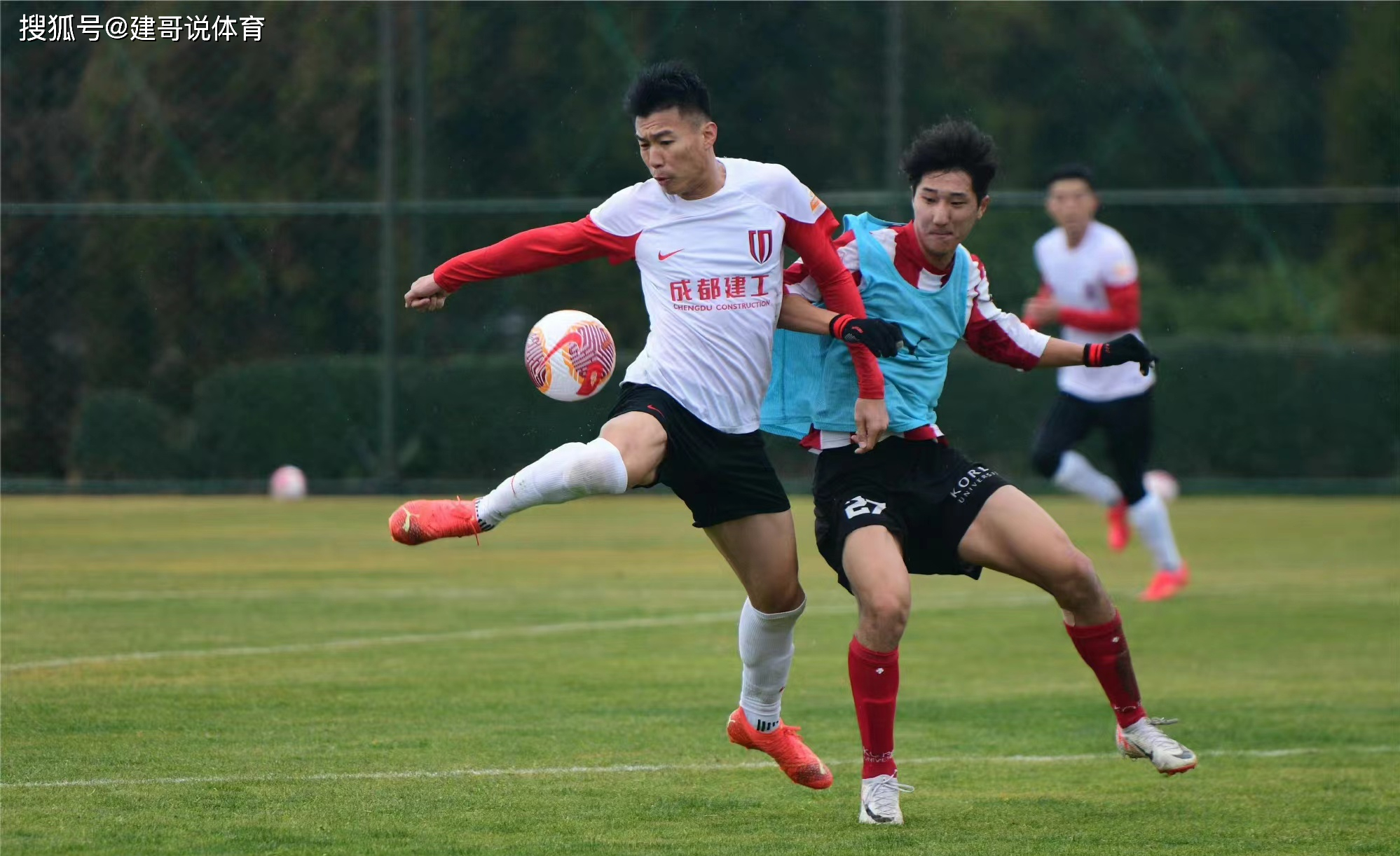 九游体育-成都队elsa