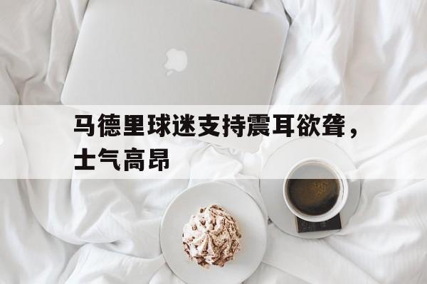 马德里竞技球迷