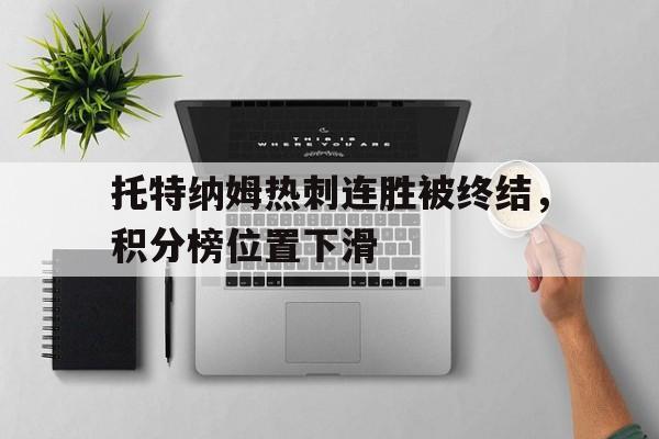 托特纳姆热刺vs